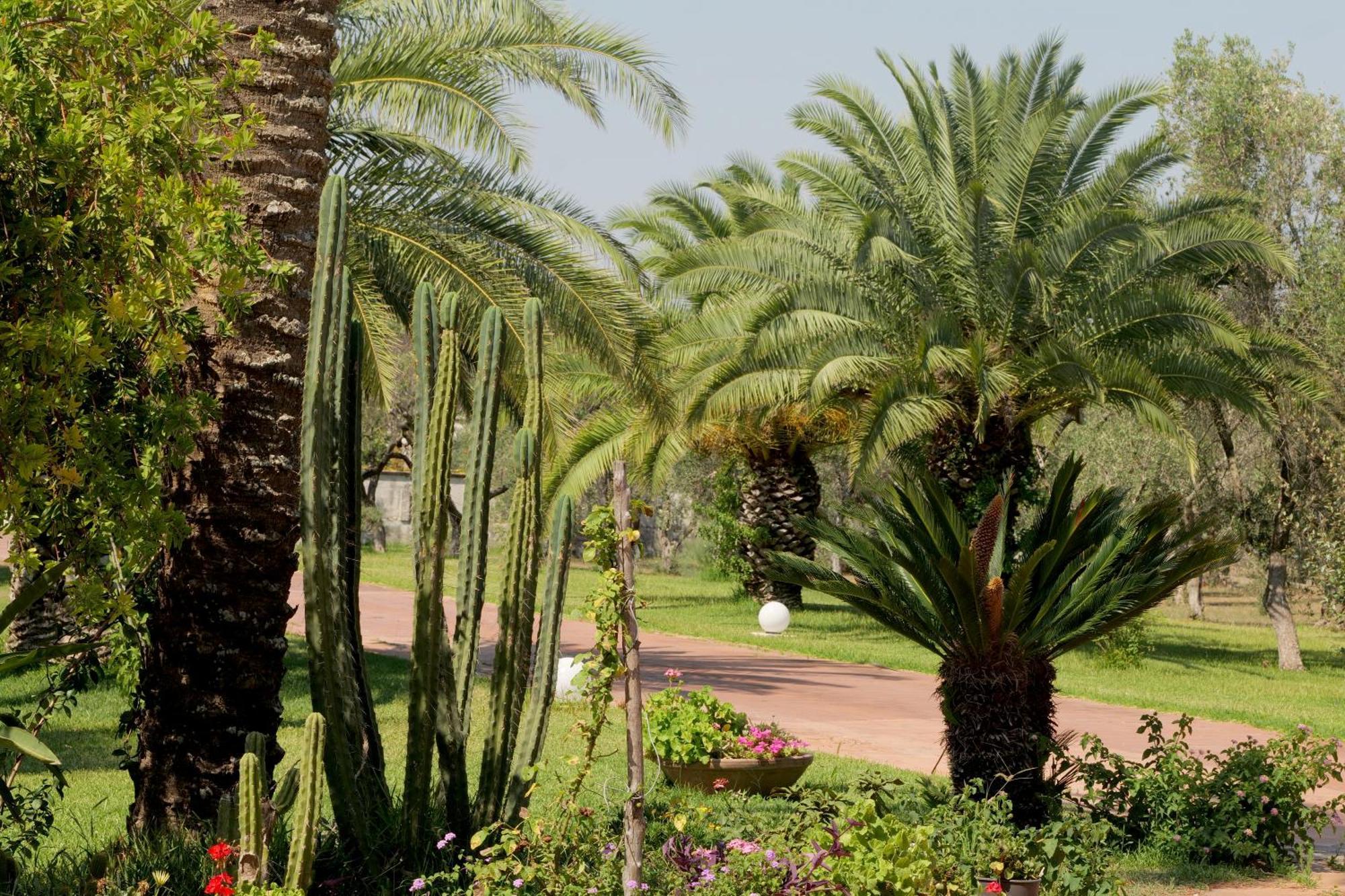 Tenuta Ricco With Pool And Garden Cursi Buitenkant foto