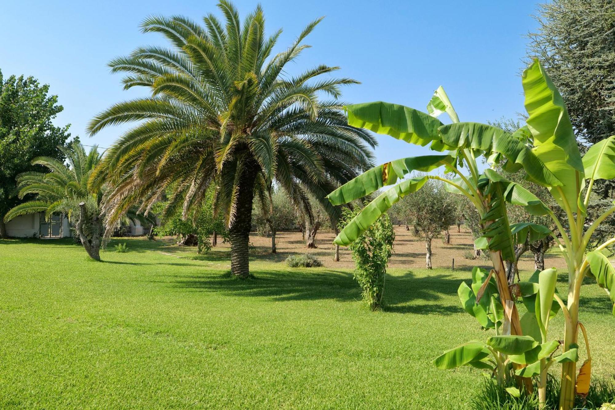 Tenuta Ricco With Pool And Garden Cursi Buitenkant foto