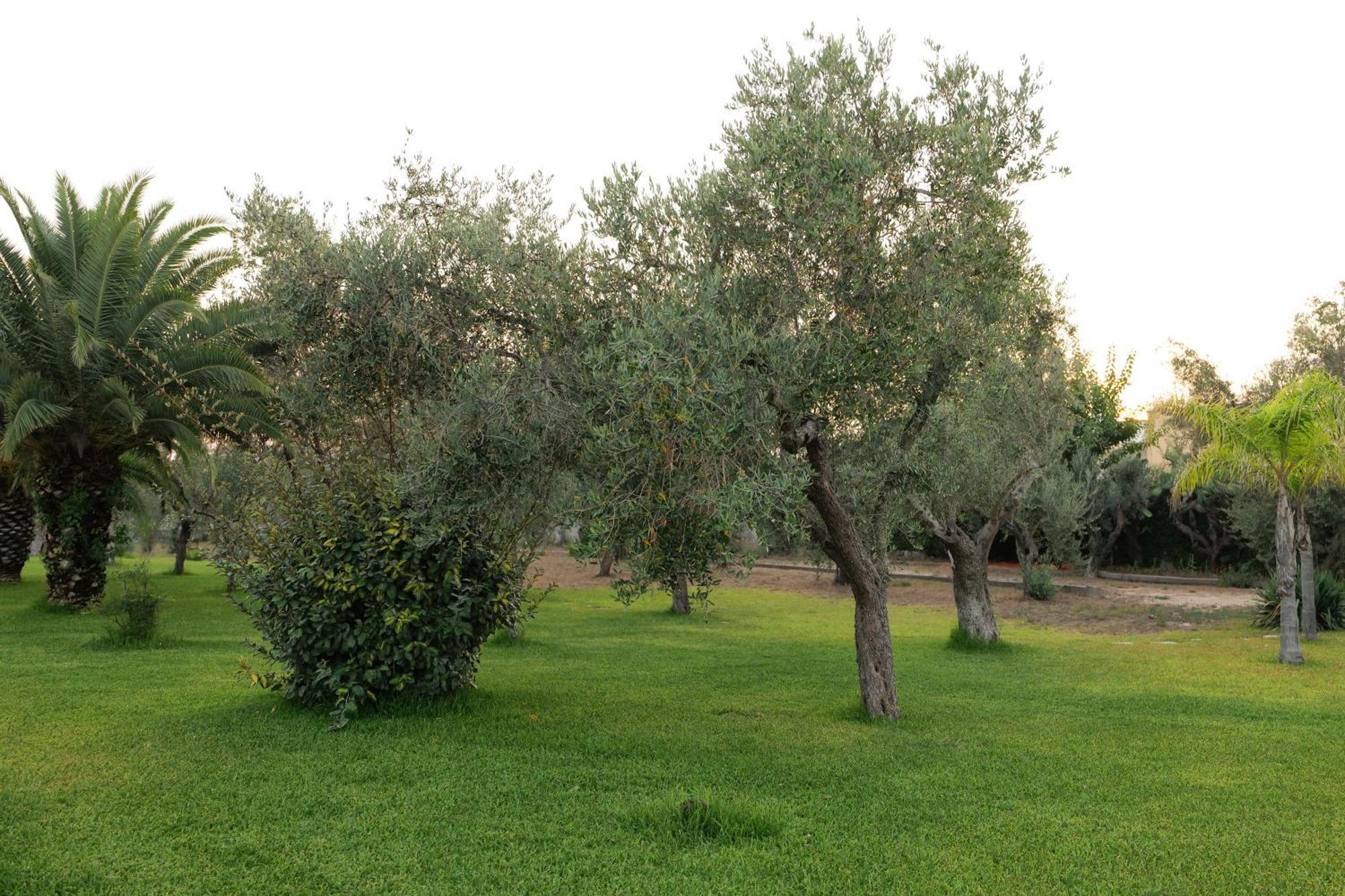 Tenuta Ricco With Pool And Garden Cursi Buitenkant foto